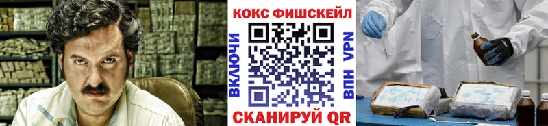 Cocaine Эквадор  где купить   Закаменск 