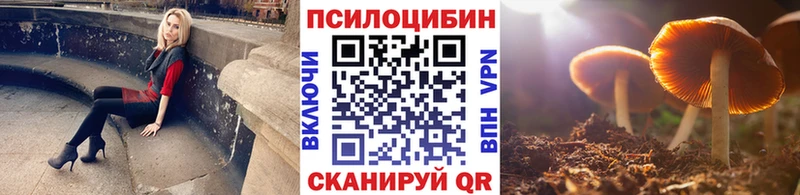 Псилоцибиновые грибы Magic Shrooms  Закаменск 